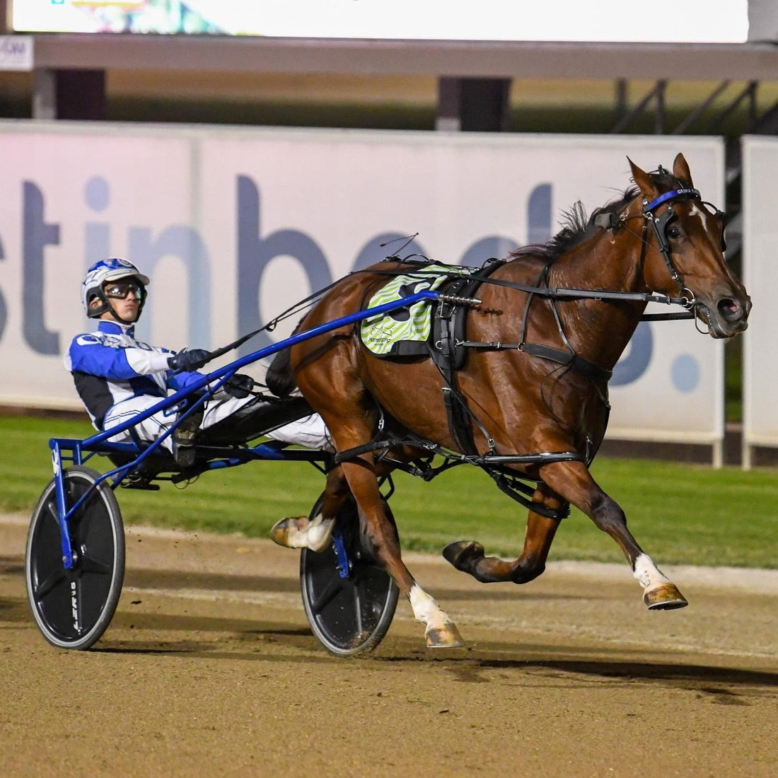 Small Stakes Racing Welcomes Seaton Grima as First Training Partner